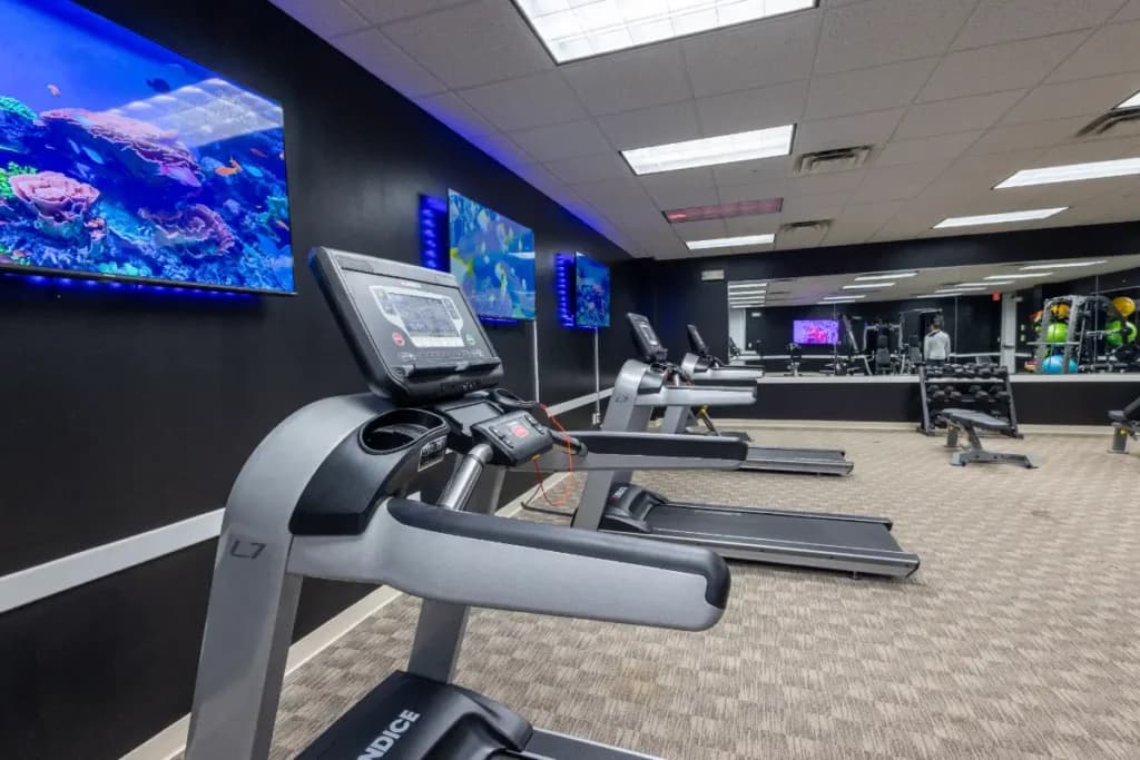 On-site gym and movement spaces supporting holistic mental-health treatment